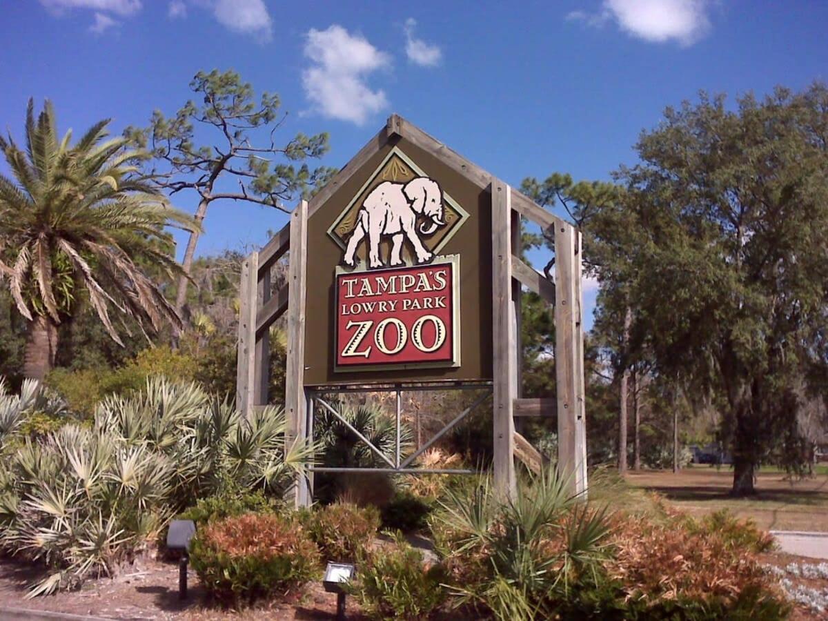 Budget Friendly Sleeps 8 Discounts Available Tampa Exterior foto